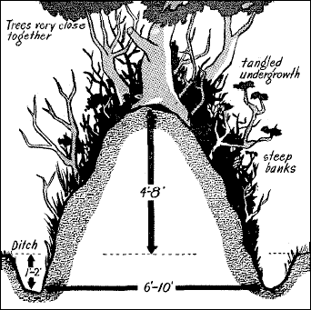 hedgerow-profile.gif"